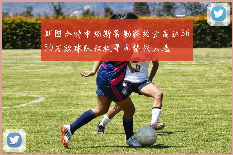 斯图加特中场斯蒂勒解约金高达3650万欧球队积极寻觅替代人选