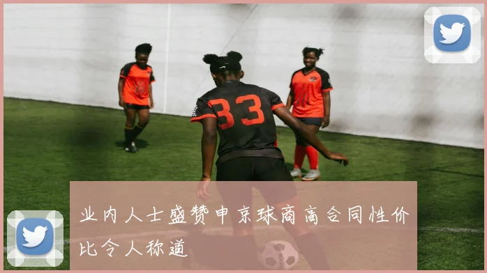 业内人士盛赞申京球商高合同性价比令人称道