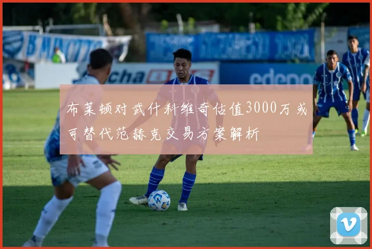 布莱顿对武什科维奇估值3000万或可替代范赫克交易方案解析