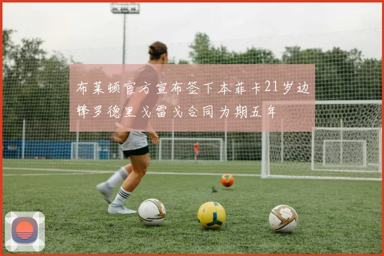 布莱顿官方宣布签下本菲卡21岁边锋罗德里戈雷戈合同为期五年