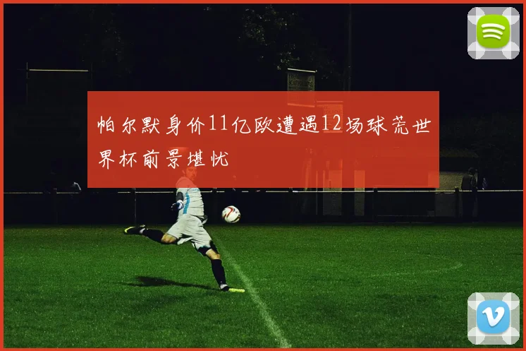 帕尔默身价11亿欧遭遇12场球荒世界杯前景堪忧
